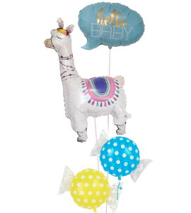 yy/yj/zoYj o[ D  d  Mtg v[g j  g-bby-0071 wEKX ē͂ ʐ^fyyMt_bŹzyy_N