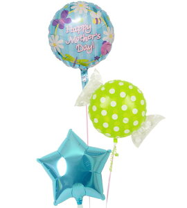 yy/yj/z̓ o[ Mtg d J[l[V   v[g  蕨 TvCY  g-mtr-0062 wEKX ē͂ ʐ^fyyMt_b