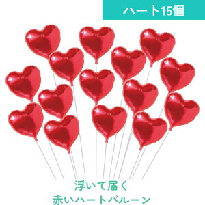 yy/yj/zp[eB[ o[ D t   Mtg Zbg TvCY  g-pty-0002 wEKX ē͂ d ʐ^fyyMt_bŹzy