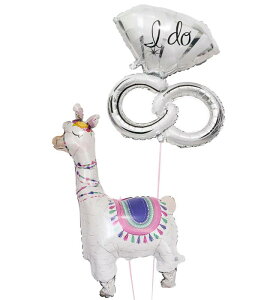 yy/yj/z jd o[ D d  j Mtg EFfBO t   TvCY v[g  g-wed-0107 wEKX ē͂ ʐ^f