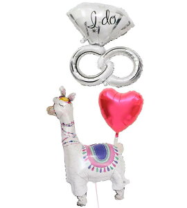 yy/yj/z jd o[ D d  j Mtg EFfBO t   TvCY v[g  g-wed-0108 wEKX ē͂ ʐ^f