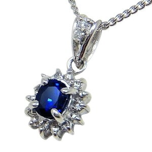 Tt@C y_g 0.5ct Pt100