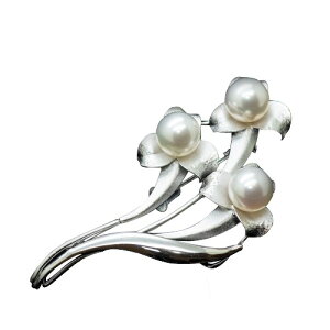 AR p[ u[` 8.5mm SV925 AR ^