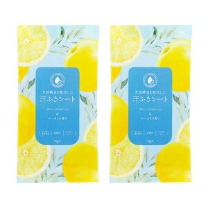 VRzӂV[giO[vt[cƃ[J̍j10×2gytbV _ ێ 邨̂锧 SgɎg 傫V[g pE_[t[ Oo X