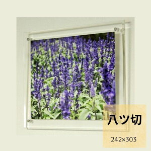  ANt[@NA@c Ǌ| tHgt[ EFJ{[h ܏ z  |X^[pl