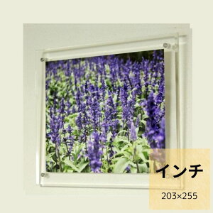 z   ANt[ NA C` 203×255mm Ǌ| tHgt[ EFJ{[h ܏ z  |X^[pl