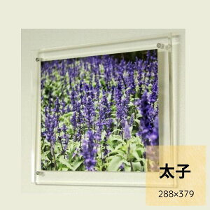  ANt[ NA@q Ǌ| tHgt[ EFJ{[h ܏ z  |X^[pl