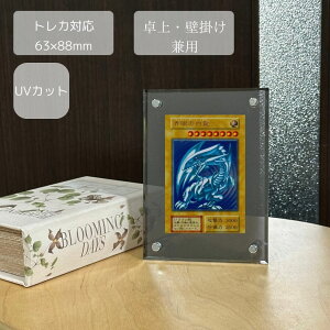  ANt[ UVJbg 63×88mm X[N ubN  gJΉ TCY g[fBOJ[h { Ǌ| X^h j[X^h  tHgt[  EFJ