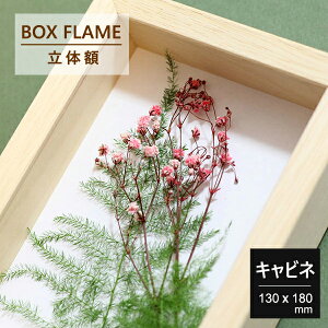 tHgt[ Lrl 130×180ʐ^  ̊z {bNXt[ z [25mm {bNXt[ ؐt[ pXeJ[ z A[g{bNXt[ ̊z tHgt[