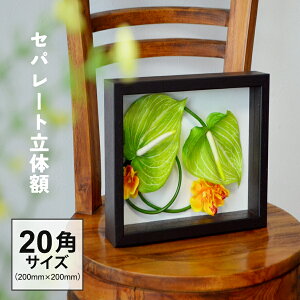 {bNXt[ ̊z Zp[g^Cv 20p 200×200 z vU[uht[ A[g{bNXt[  vo  EFJ{[h |X^[pl uC_ t[ 