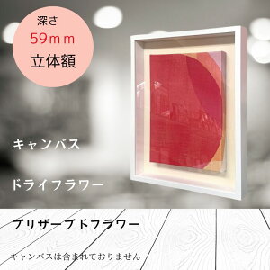 {bNXt[ 70mmi[59mmjLoX 0`25 z {bNXt[ ̊z EFJ{[h^z^|X^[pl/EFJ{[h@z^uC_ t[^EF