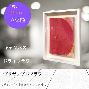 {bNXt[ 50mmi[39mmjLoX 0`15 z {bNXt[ ̊z EFJ{[h^z^hCt[ ~j`A tBMA RNV uC_ t[