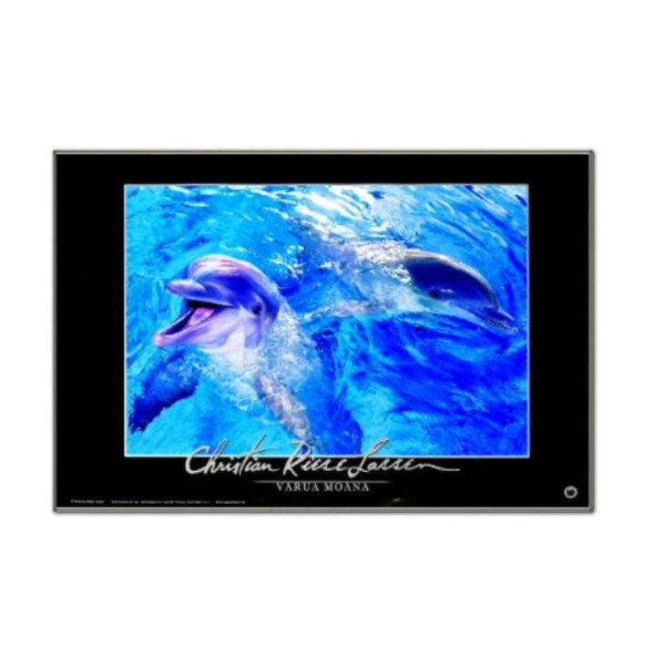 楽天市場】絵画 ヴァルア モアナ CL-25 イルカ ドルフィン Dolphin 