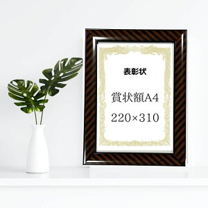 ܏z bN ܏A4iڎjTCYi220×310mmjy y fR[V F S[h fR