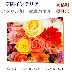 ʐ^pl ǃCeA EH[A[g/ /Beautiful flowers / G |X^[ z CeA   Ǌ| rO Q ze ^} z[ { Vzj JƏj J