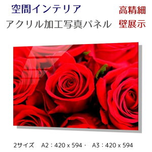 ʐ^pl ǃCeA EH[A[g/ Ԃỏԑ / KN u[P G |X^[ z CeA   Ǌ| rO Q ze ^} z[ { Vzj J