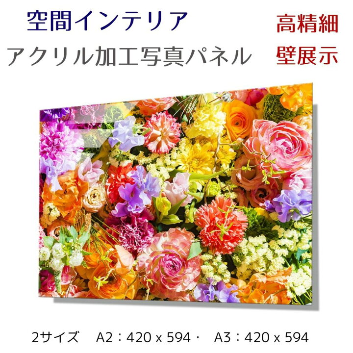 楽天市場】写真パネル 壁インテリア ウォールアート/ フラワー 
