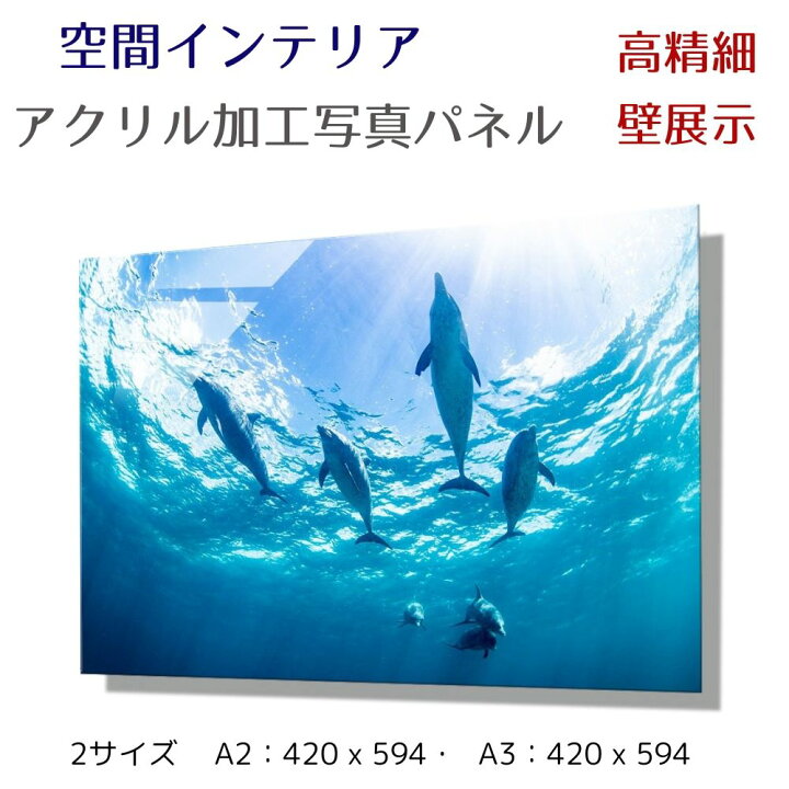 楽天市場】写真パネル 壁インテリア ウォールアート/ バハマ諸島の 