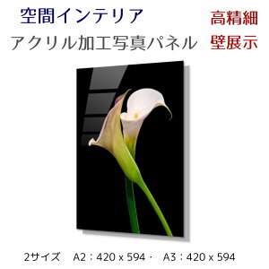 ʐ^pl ǃCeA EH[A[g/ I_JC/  G |X^[ z CeA   Ǌ| rO Q ze ^} z[ { Vzj JƏj JXj 