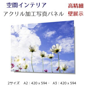 ʐ^pl ǃCeA EH[A[g/ RXX̉ԂƋ/Cosmos flowers and sky/ G |X^[ z CeA   Ǌ| rO Q ze ^} z[ { Vzj J