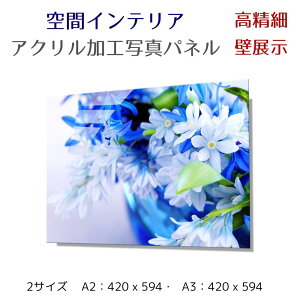 ʐ^pl ǃCeA EH[A[g/ ACX̉ԑ/Bouquet of blue irises/ G |X^[ z CeA   Ǌ| rO Q ze ^} z[ { Vzj 
