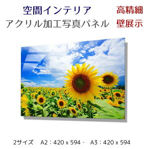 ʐ^pl ǃCeA EH[A[g/ ĴЂ܂/ Sunflower G |X^[ z CeA   Ǌ| rO Q ze ^} z[ { Vzj JƏj JX