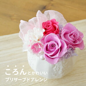 ̓ av[g ̓ vU[uht[ t[AWg MARI TN  Zbg   CeA LO av[g FB Mtg