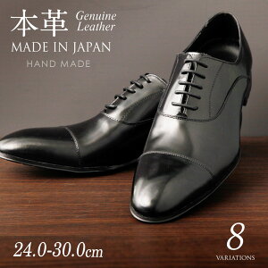 yrWlXV[Yz Y vC { ɏ {v v El ō YrWlXV[Y  XEF[h 傫TCY Xg[g`bv ECO`bv XNGAgD Om[