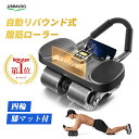 【5倍ポイント】★楽天ランキング1位★ UBRAVOO 腹筋ローラー アブローラー 腹筋マシン 自動リバウンド トレーニング…