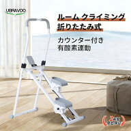 UBRAVOO ステップマシン クライミングマシン 折りたたみ式 ステッパー 有酸素運動 上下ステップ運動 静音…