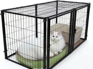 _11SXSi Gg[P5{l&500~N[|^ UBRAVOO ybgtFX ^ ^p tFX pP[W T[N hAt Op ubN ܂肽݉\ 