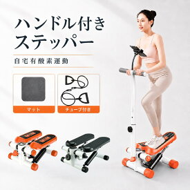 UBRAVOO ステッパー ハンドル付き ダイエット 静音 ツイスト スタンド付き サイドステッパー 体幹 筋トレ 足踏みマシン フィットネス ステップ台 室内 宅トレ 有酸素運動 エクササイズ 踏み台昇降 2年保証
