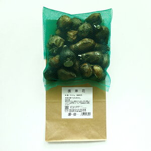 �u�ފ݉ԁi���j�E�S�`�v�i�q�K���o�i�E�[���P�C�j�y�H�p�s�z�@���{�Y 500g �@�E�`�_�a����