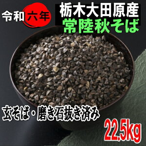 令和6年産!!栃木県大田原産・常陸秋そば・玄そば・磨き石抜き済み【22.5kg】※送料無料ではありません