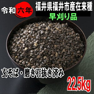 ߘa6NY!!䌧YEݗijΖΔς1iy22.5kgzł͂܂