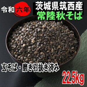 令和6年産!!茨城県筑西市産常陸秋そば・玄そば磨き石抜き済み1等品【22.5kg】※送料無料ではありません