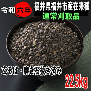 ߘa6NY!!䌧YEݗ팺ΖΔς1iy22.5kgzł͂܂