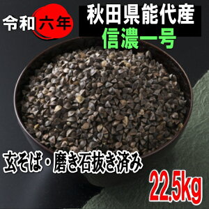 令和6年産!!秋田県産・信濃一号・玄そば・磨き石抜き済み【22.5kg】※送料無料ではありません