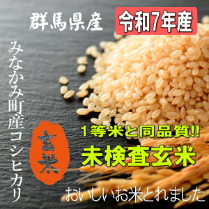 令和7年産新米!! 群馬県みなかみ町産コシヒカリ【玄米30kg】※別途送料掛かります