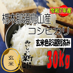 令和7年産新米!!栃木県那須烏山産コシヒカリ未検査玄米30kg【玄米色彩選別済み】※別途送料掛かります
