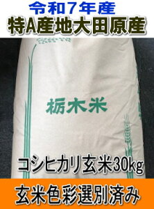 ߘa7NYV!!Ȗ،cYRVqJ1y30kgFʑIʍς݁zʓr|܂