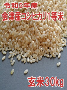 令和5年度 郡山産コシヒカリ1等米30kg玄米 ラスト