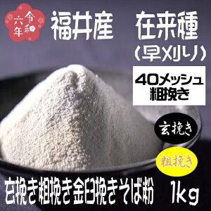 ߘa6NY!!䌧YEݗ(jE҂e҂P҂Εy1kgz