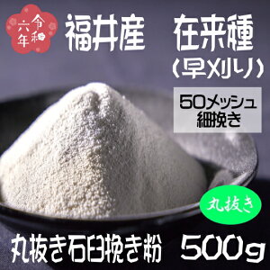 ߘa6NY!!䌧YEݗijE۔ΉP҂Εy500gz