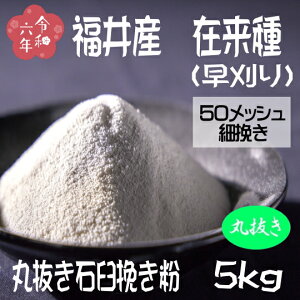 ߘa6NY!!䌧YEݗijE۔ΉP҂Εy5kgz12/7̔Jn