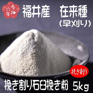 ߘa6NY!!䌧YEݗijE҂ΉP҂Εy5kgz