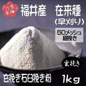 ߘa6NY!!䌧YEݗijE҂ΉP҂Εy1kgz