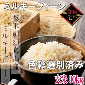令和7年産新米!!　栃木県那須烏山産ミルキークィーン未検査玄米【玄米30kg色彩選別済み】※別途送料掛かります