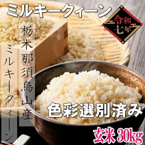 令和7年産新米!! 栃木県那須烏山産ミルキークィーン未検査玄米【玄米30kg色彩選別済み】※別途送料掛かります