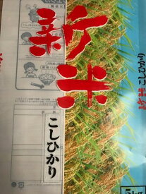 本州限定!!送料無料!!令和5年新米!!埼玉県加須産コシヒカリ白米10kg【5kg×2】※北海道・九州・四国・沖縄・離島は別途送料掛かります